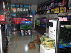 常熟宠友福利 低价宠物用品与特色小店探秘